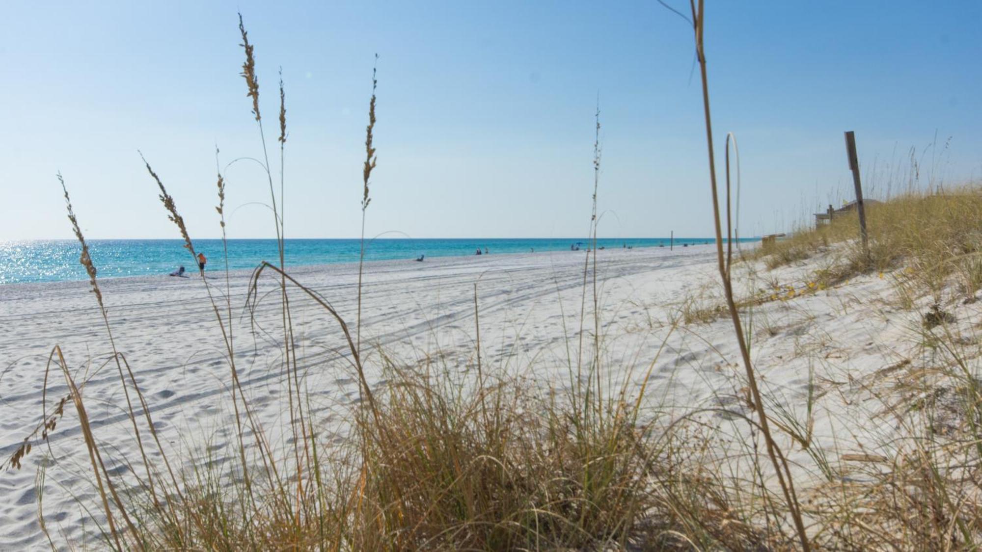 Breathtaking Views From Gulf Front 2 Bd / 3 Ba Townhome! بنما سيتي بيتش المظهر الخارجي الصورة